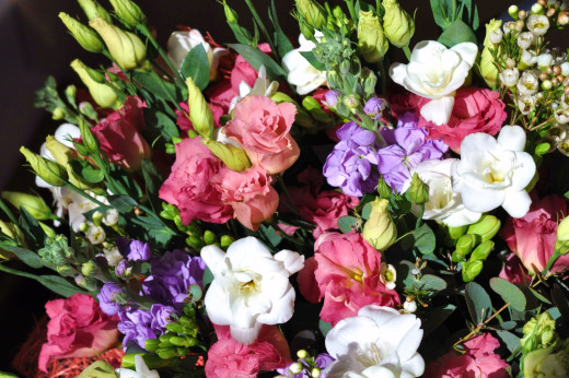839853 (a): :2500x1660